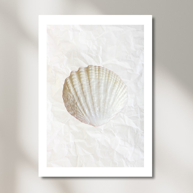 plakaty Plakat Seashell