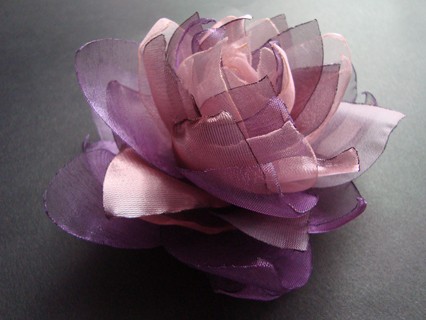 FIOLETTA SundayRose
