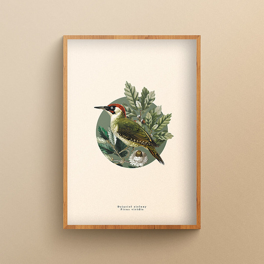 plakaty Plakat Ptaki Polski: Dzięcioł