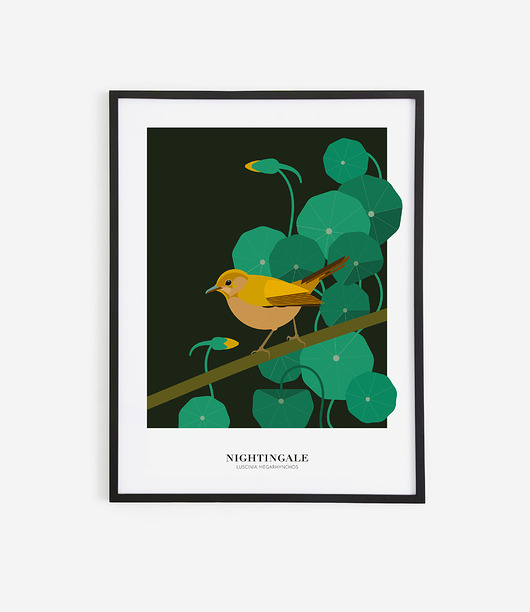 plakaty Plakat Słowik Nightingale 30 x 40 cm