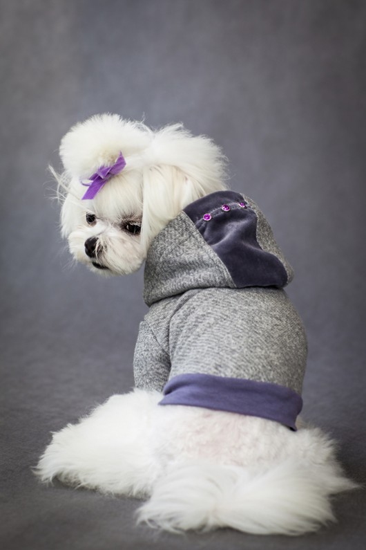 Bluza Sweet Viola By Luigi