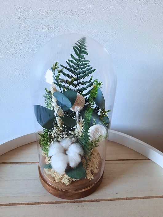 dodatki - różne Klosz kopuła stabilizowanych roślin