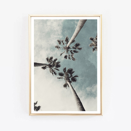 palmy fotografia plakat wejustlikeprints