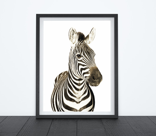 ZEBRA - OBRAZEK, PLAKAT, DEKORACJA A3 Dekoracjan
