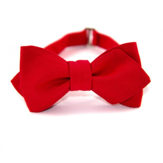 Muszka wiązana The Bow Bow Ties