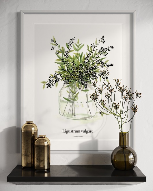 plakaty Plakat Ligustr / reprodukcja akwareli