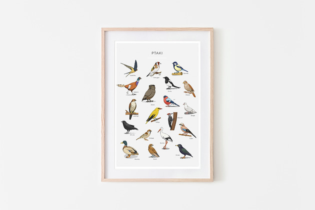 EDUKACYJNA ILUSTRACJA PTAKI POLSKI,montessori PRINTLOVE