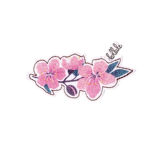 cherry blossoms kollale