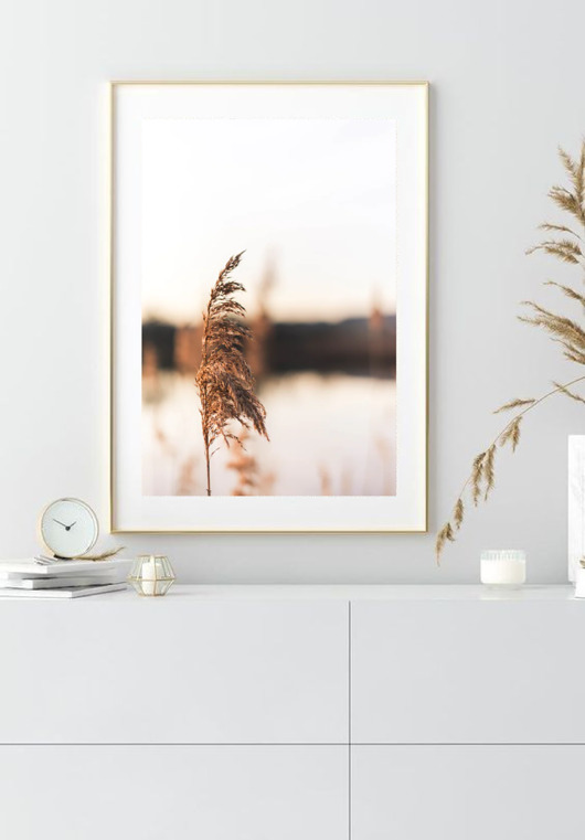PLAKAT trawa pampasowa beżowy natura black dot studio