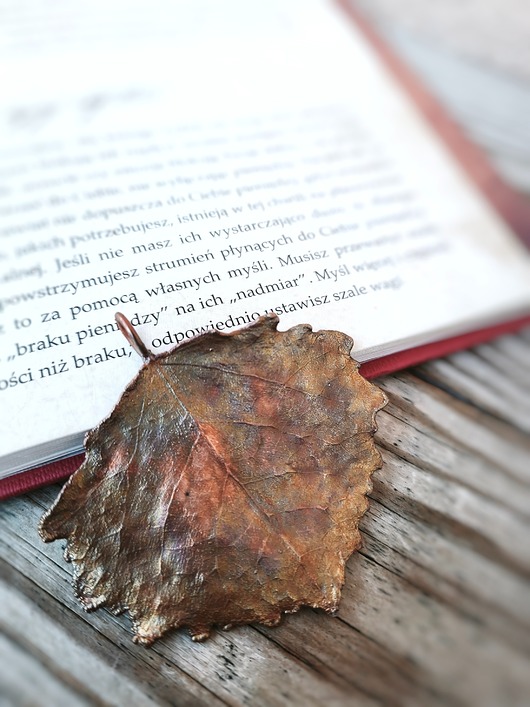 wisiory Liść topoli II wisior miedziany