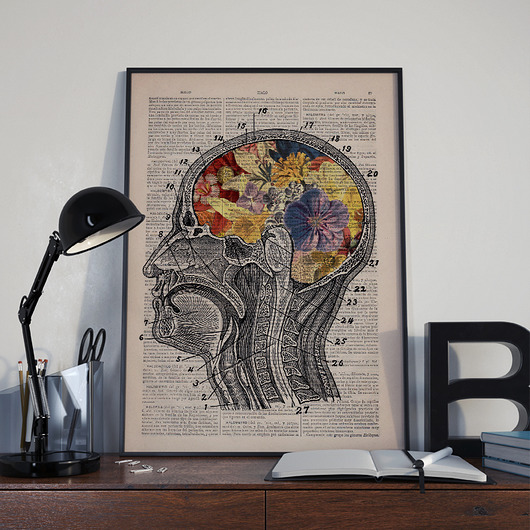 Plakat Anatomiczny  Dekoracje PATKA Patrycja Kita