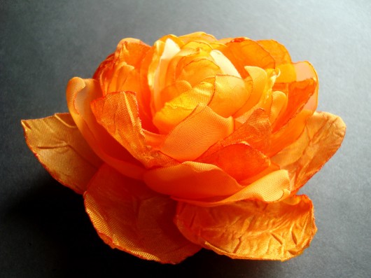POMARAŃCZKA SundayRose