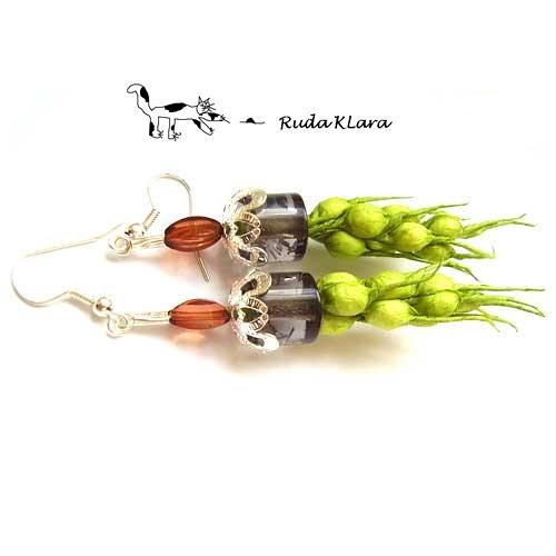 wiosna ruda klara