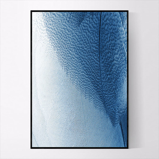 Plakat BLUE WINGS 50x70 cm MUKKO