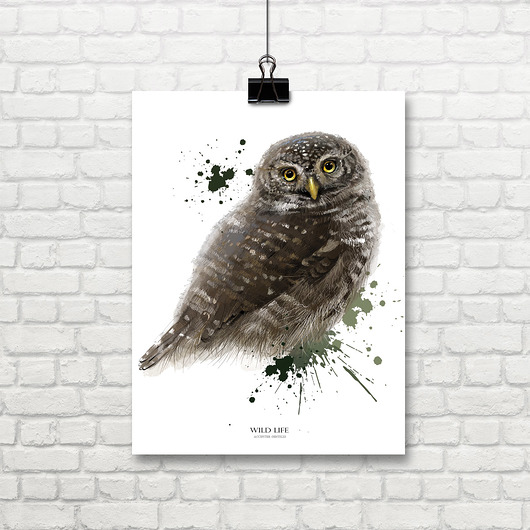 grafiki i ilustracje grafika z serii  WILD LIFE, sóweczka