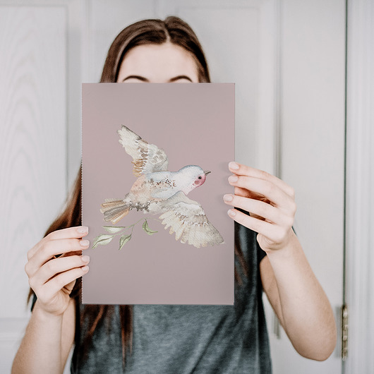grafiki i ilustracje Plakat  ptak zięba  różowy  A4  A3