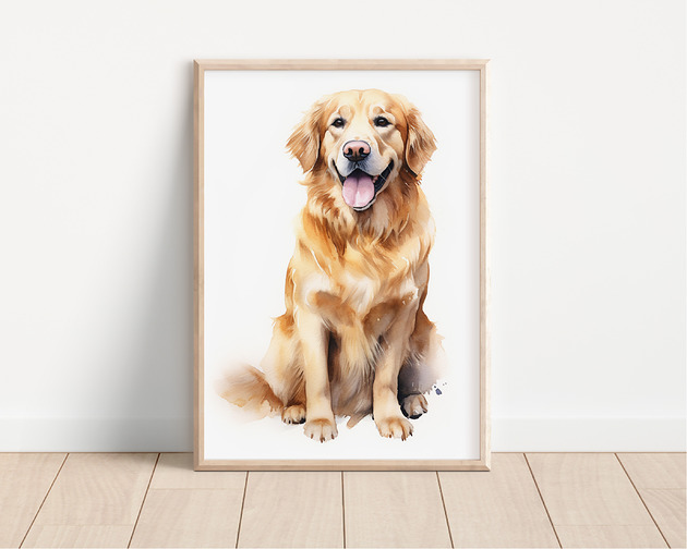 plakaty Plakat golden retriever