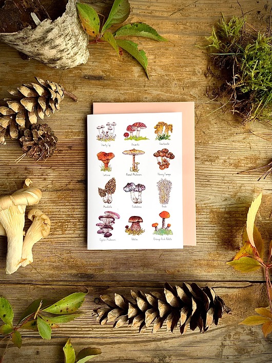 kartki okolicznościowe - wydruki Grzyby- Kartka- Grafika- Ilustracja- Las