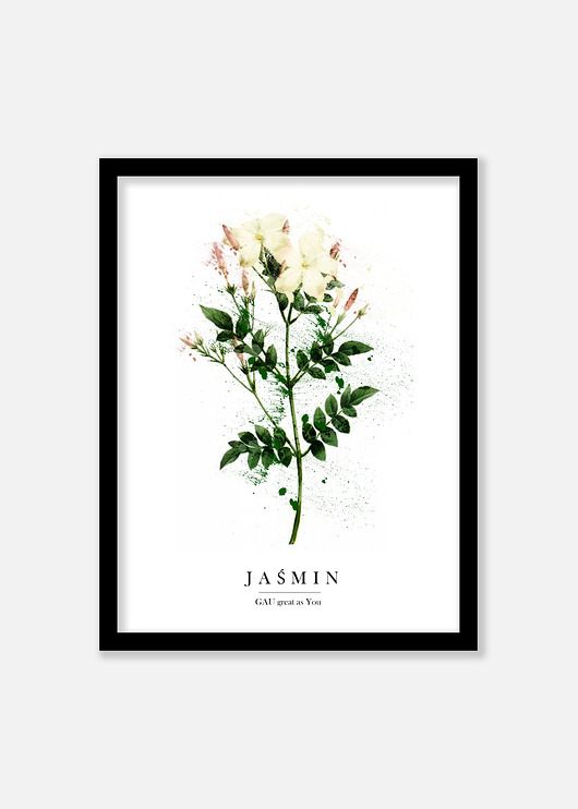 JAŚMIN Plakat GAU Home