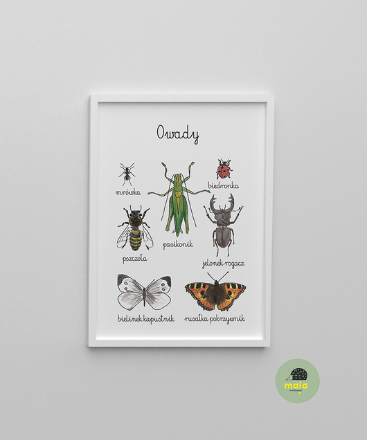 Plakat edukacyjny Owady 2 Montessori Old Soul Mood Prints