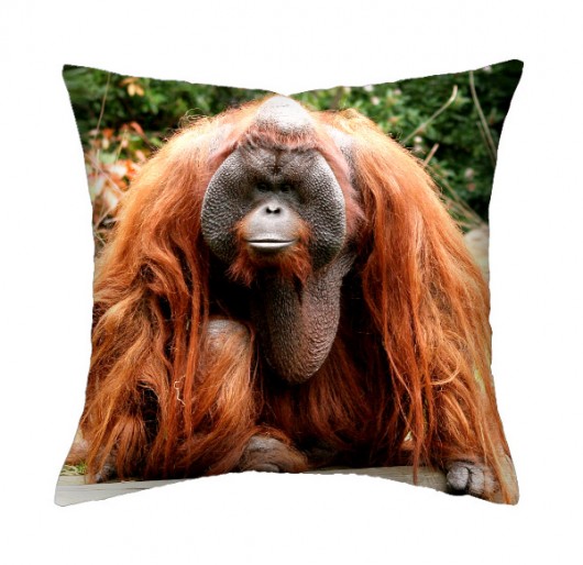 Zamówienie 2 poduszki 37 cm - małpa i kura  AT design