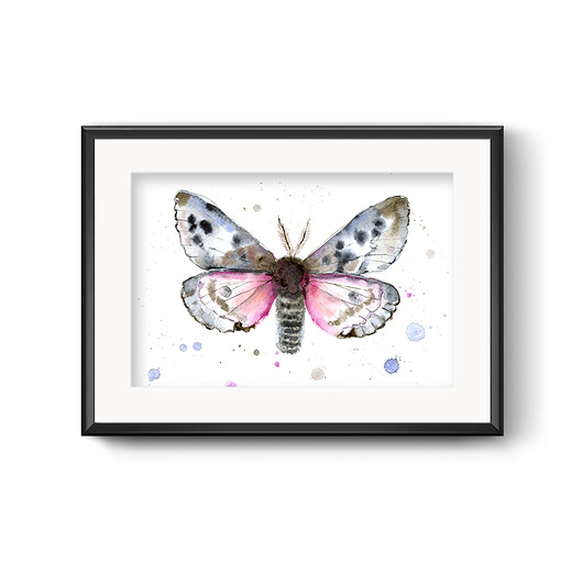 grafiki i ilustracje Romantyczna ćma, 30x21 cm, A4