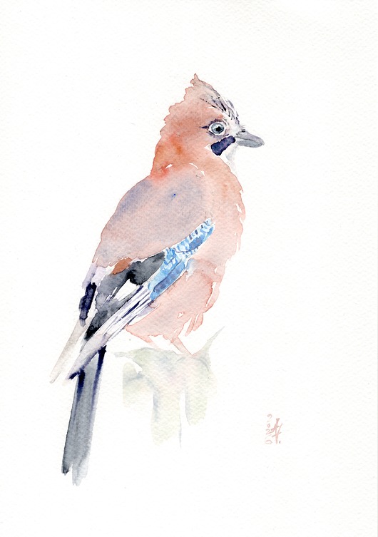 obrazy Oryginalna akwarela. Sójka