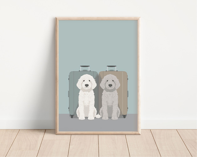 plakaty Plakat lagotto romagnolo