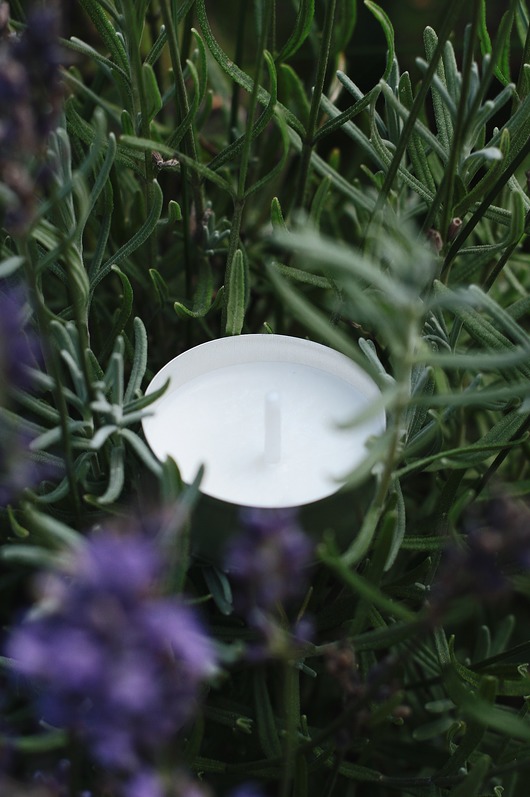 Zestaw sojowych podgrzewaczy, tealight 8szt. KaNa Eco