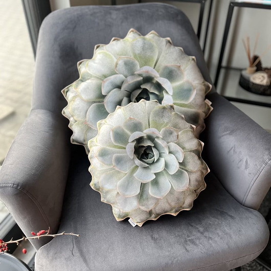 poduszki z grafiką Zestaw Poduszki Sukulenty Jasnozielone Poduszkownia