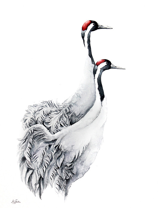 Para Żurawii- plakat, reprodukcja 30x40cm Karolina Kijak