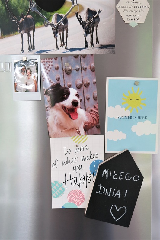 Magnes na lodówkę czarny domek INDOO