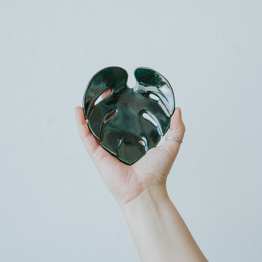 mydelniczki Mini Monstera Black Green