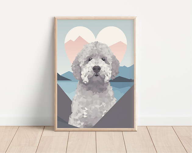 plakaty Plakat lagotto romagnolo