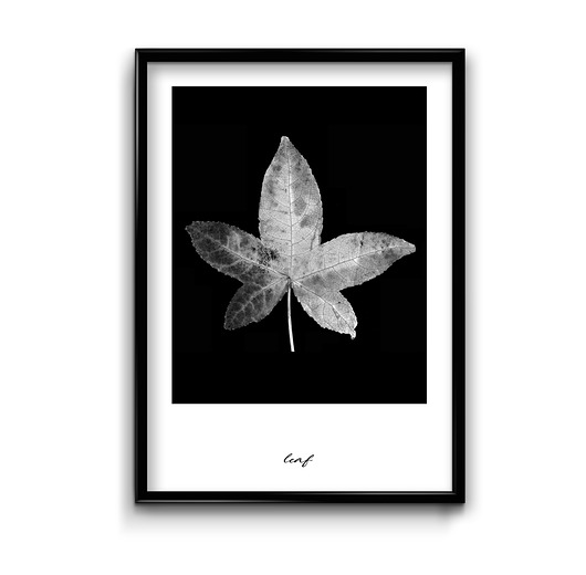 Leaf - plakat  Bury Lis