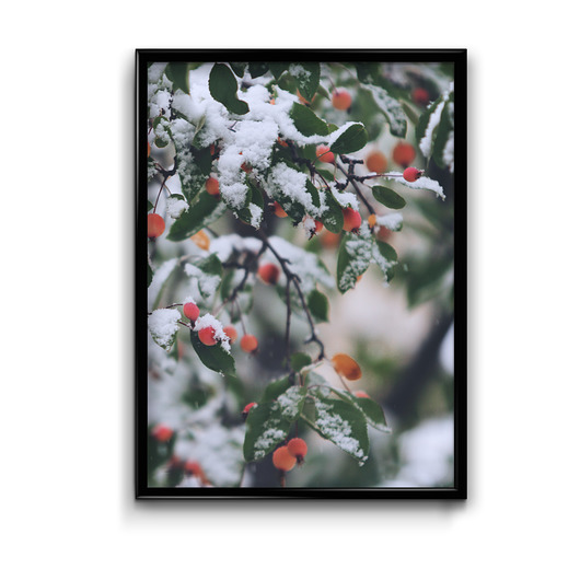 plakaty Plakat Czerwone Korale