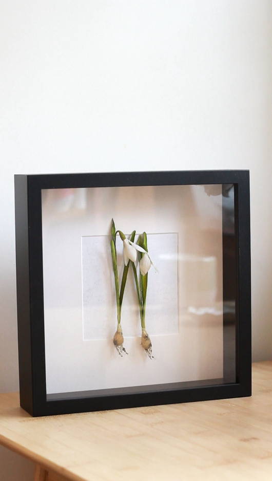 inne Dekoracja botaniczna, obraz - przebiśniegi