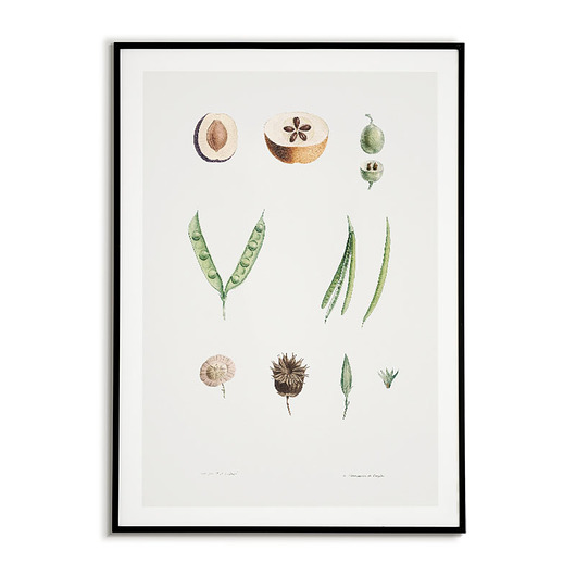 Plakat botaniczny Tablica z roślinami - Vintage Bajkowe Obrazki