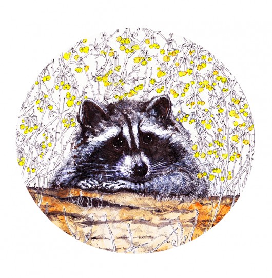 grafiki i ilustracje szop zamyślony