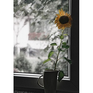 melancholia skrzyp