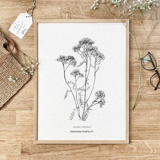 grafiki i ilustracje Zestaw dwóch grafik botanicznych - papier COFFE - eko