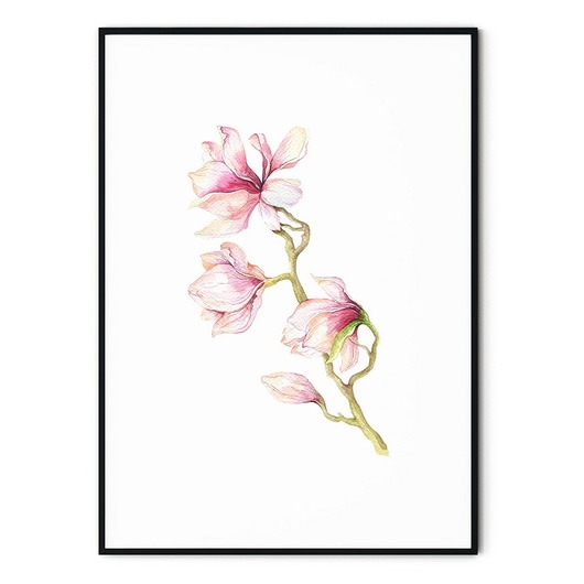 Plakat skandynawski botaniczny Magnolia myscandi