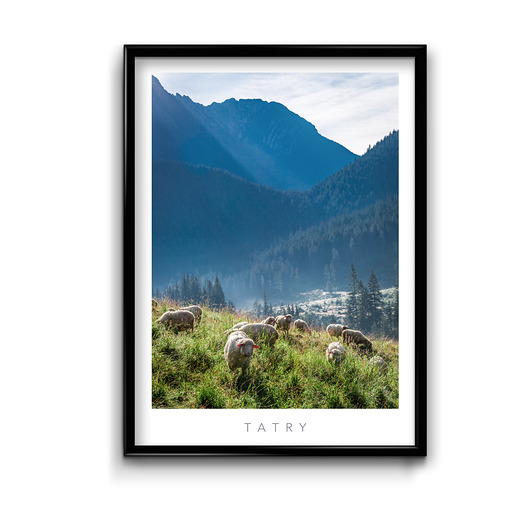 Plakat Tatry No.3  Bury Lis