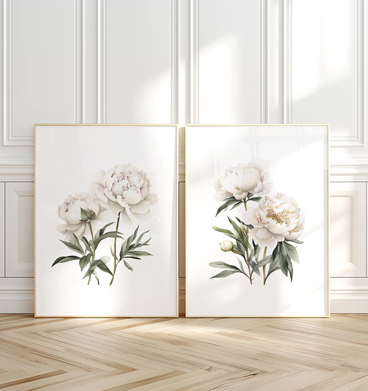 obrazy Białe Piwonie - Zestaw dwóch grafik