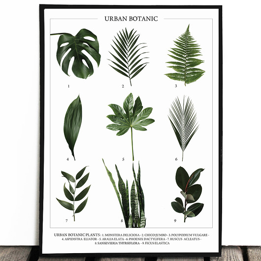 Botaniczny plakat URBAN BOTANIC nowy a4 Lawendowy Bazar