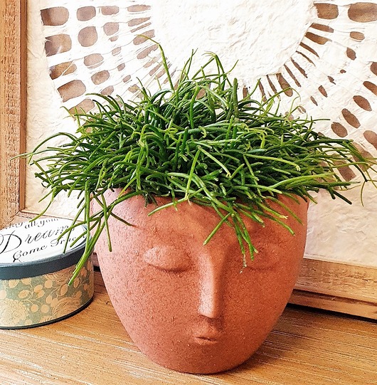 doniczki Doniczka oslonka Face Imprint 14x12cm ceglana