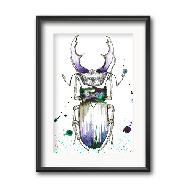 grafiki i ilustracje Żuk jelonek, 30x21cm, A4