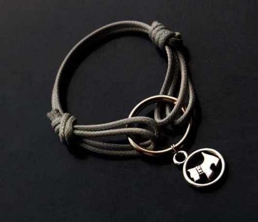 grey dog  szelart