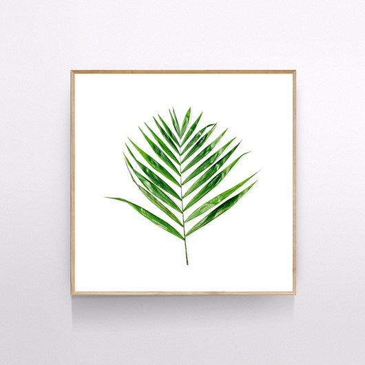 Plakat GREEN LEAF 30x30 CM MUKKO