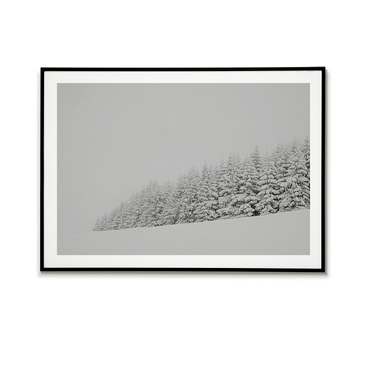plakaty Plakat drzewa - Czarno biały  - Śnieg - Zima